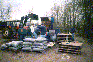 compost2.gif (872216 bytes)